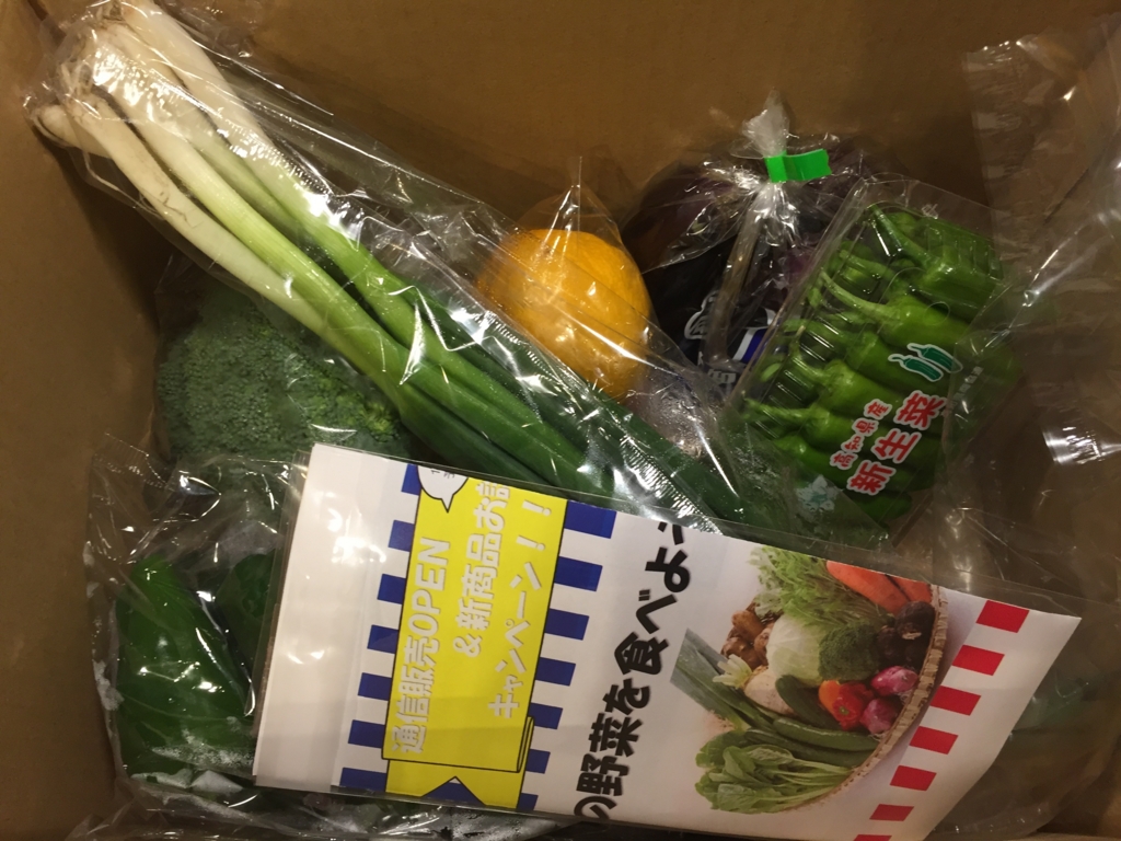 ふるさと納税 高知県奈半利町旬の野菜の詰め合わせ 2回目 が届きました ふるさと納税 高知県奈半利町旬の野菜の詰め合わせ 2回目 が届きました